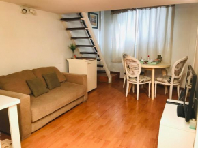 Dodis Studio Loft Recoleta